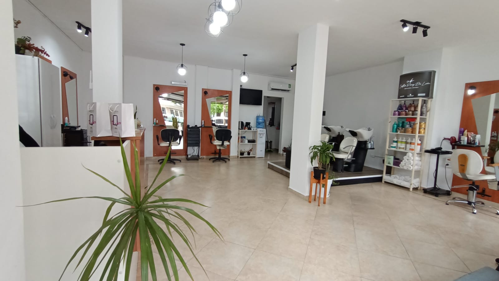 El salón - vista 1